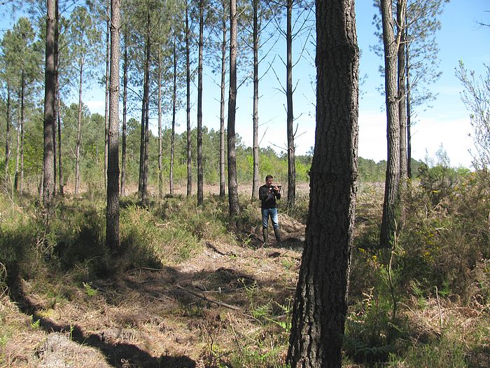estimation_propriété_forestière