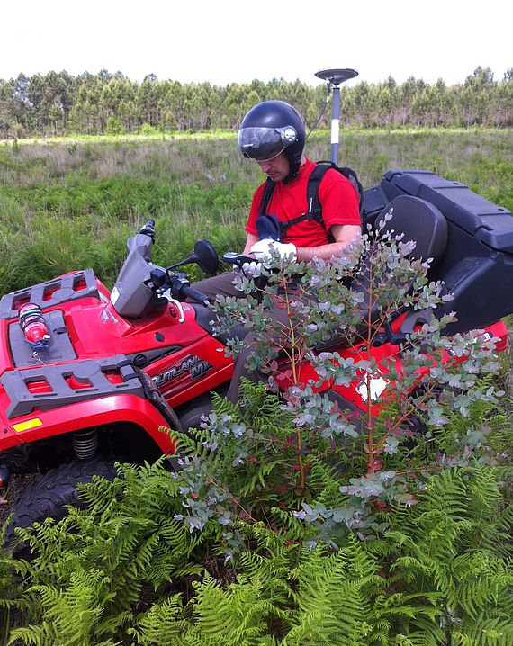 relevé gps quad eucalyptus foret landes